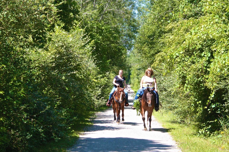 Wadhams to Avoca Trail